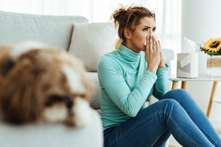 Allergies et housses de chaises extensibles : comment protéger votre famille - Atelier de la housse