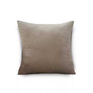 Triumph - Housse de coussin en Velours Beige sur fond gris