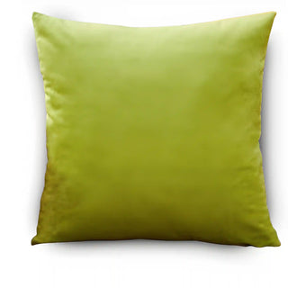 Triumph - Housse de coussin en Velours Vert clair sur fond gris