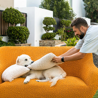 Housse de canapé jaune avec chien qui mort un coussin blanc