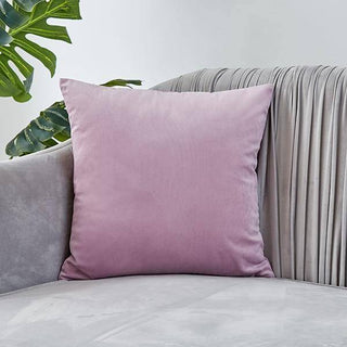 Triumph - Housse de coussin en Velours Rose pâle sur fond gris