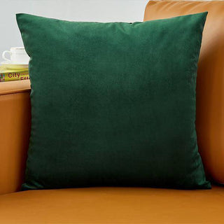 Triumph - Housse de coussin en Velours Vert pomme sur fond gris