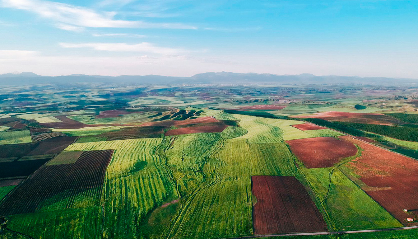 Combien fait 1 are en — mesure de surface agricole